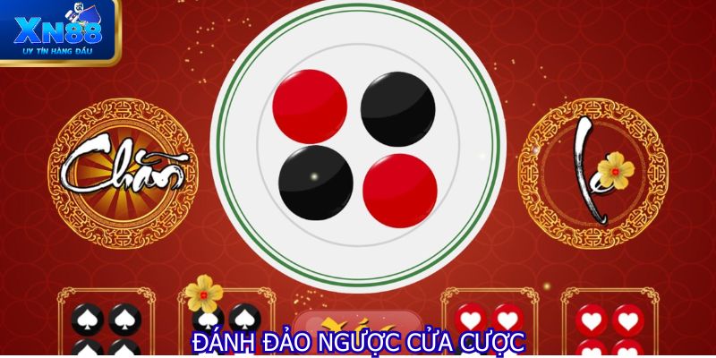 Đánh đảo ngược cửa cược